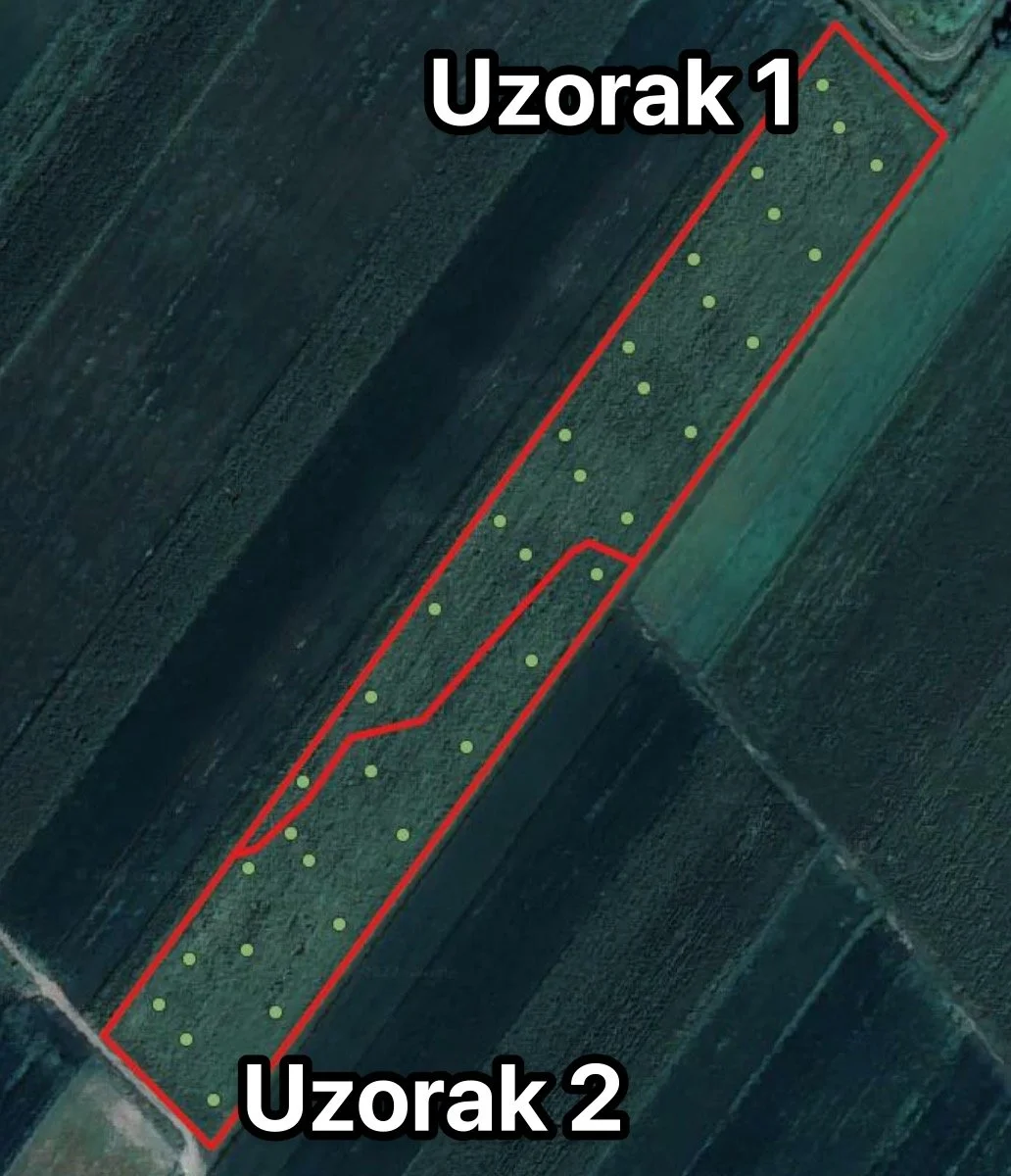 Satelitski snimak izdužene njive sa crvenim obrisom, tačkama za uzorkovanje i oznakama &bdquo;Uzorak 1&rdquo; i &bdquo;Uzorak 2&rdquo;.