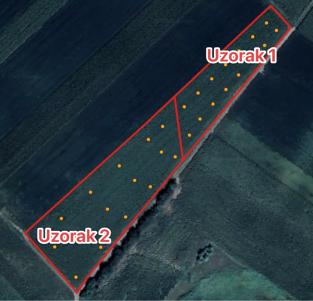 Satelitski snimak parcele sa crvenim obrisom, narandžastim tačkama za uzorkovanje i oznakama &bdquo;Uzorak 1&rdquo; i &bdquo;Uzorak 2&rdquo;.